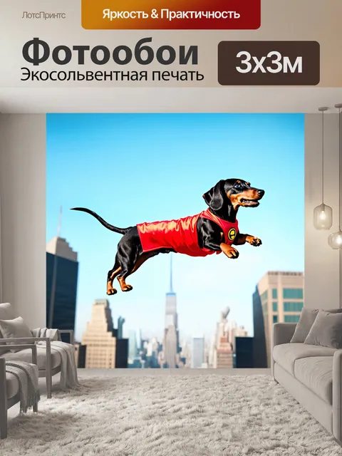 Фотообои такса в костюме супергероя, летящая по городу