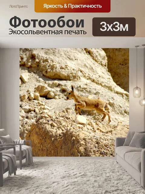 Фотообои Молодой козерог на уступе горы