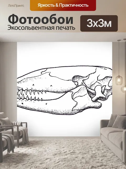 Фотообои Животные