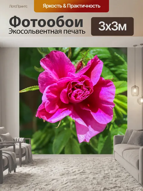 Фотообои Цветочный садик