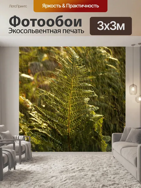 Фотообои Папоротник Дождь Листья Капли Дождя