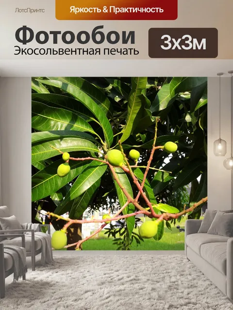Фотообои Детские манго на дереве 3