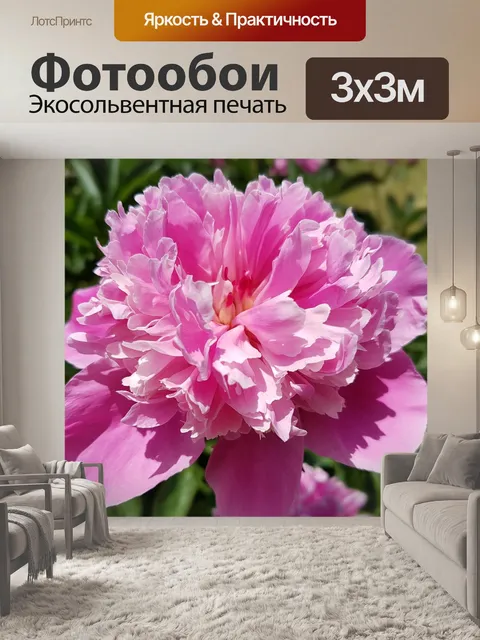 Фотообои Цветы