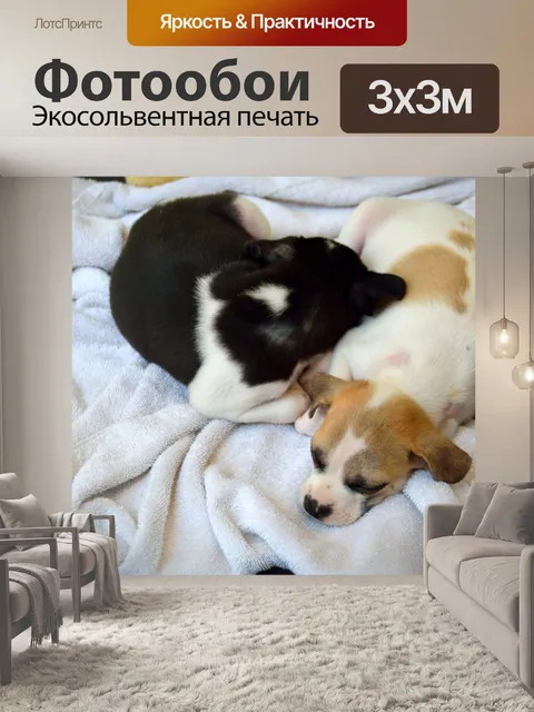 Фотообои Спасено собак