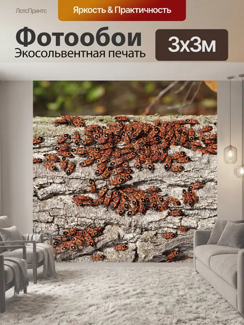 Фотообои Бузина