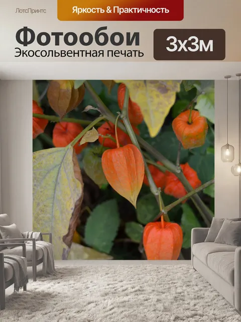 Фотообои Физалиса. Осень.