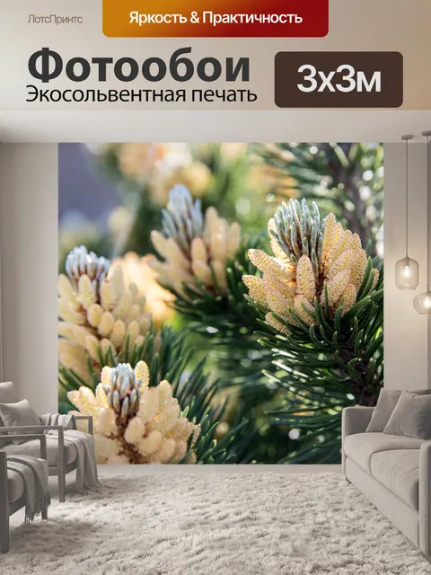 Фотообои Еловые ветки