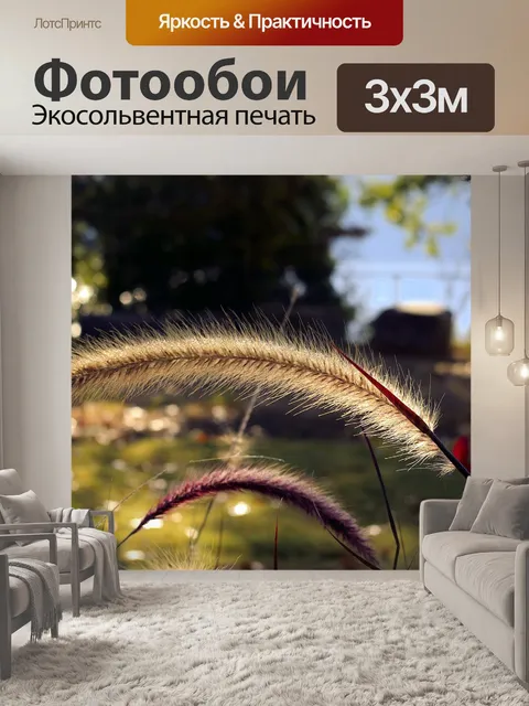 Фотообои Декоративные травы в арканзасе