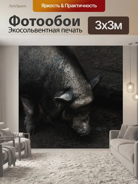 Фотообои Свинья