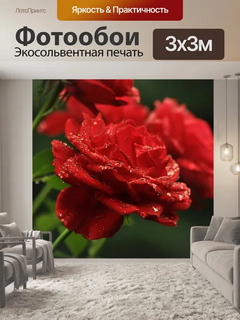 Фотообои Капли