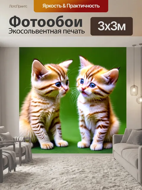 Фотообои котята, нежно мявкающие между собой, как будто ведут важный разговор