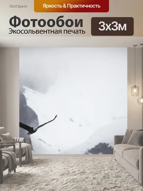 Фотообои Белоголовый орлан