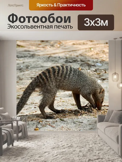 Фотообои Африке