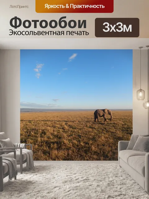 Фотообои Слон