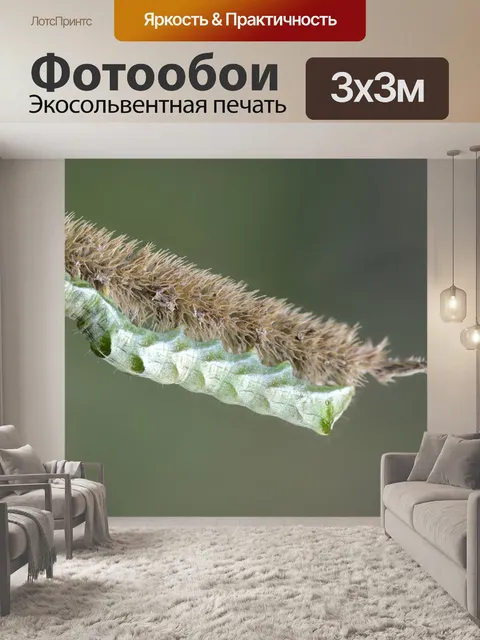 Фотообои В конце дороги