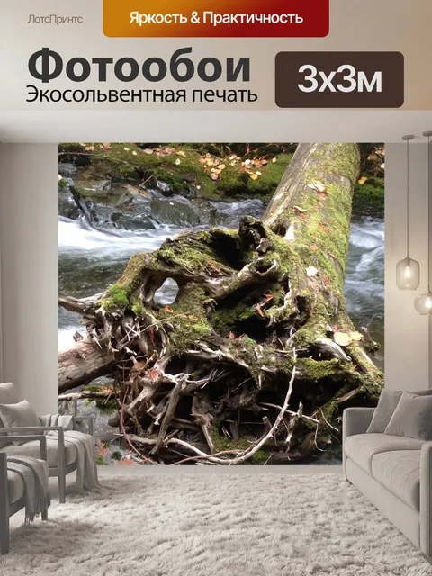Фотообои Дерево