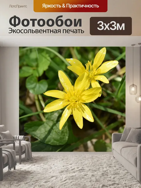Фотообои Цветы