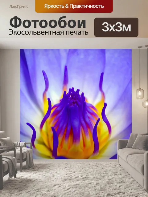 Фотообои Цветок лотоса