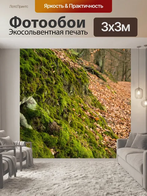 Фотообои Лес