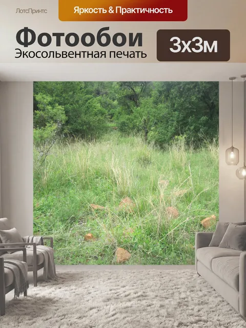 Фотообои трава и зеленые леса в Африке