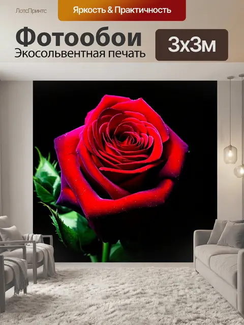 Фотообои розы в стиле нуар, с яркими акцентами и текстурами, придающими многослойный визуальный эффект