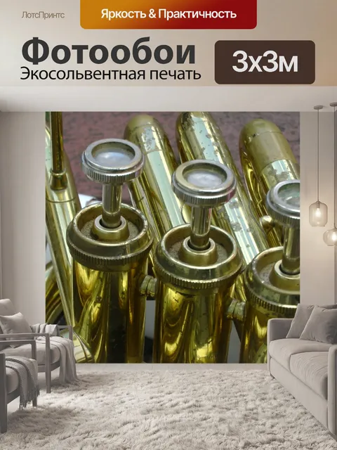 Фотообои Эуфониум Клапаны