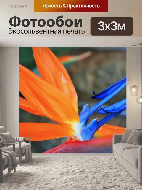 Фотообои яркий Стрелиция
