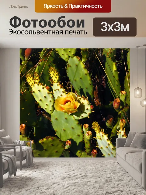 Фотообои опунция с цветком и фруктами