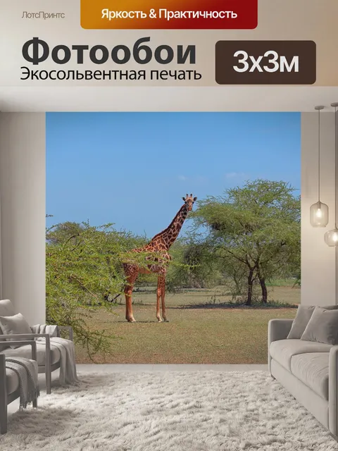 Фотообои Жирафа