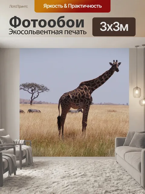 Фотообои Жирафа