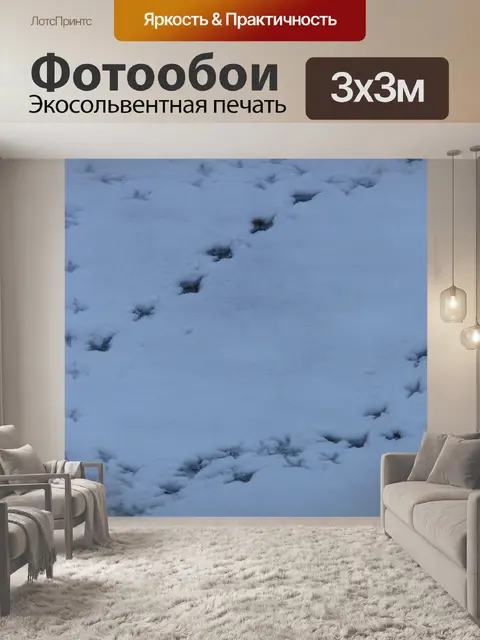 Фотообои Птица треки