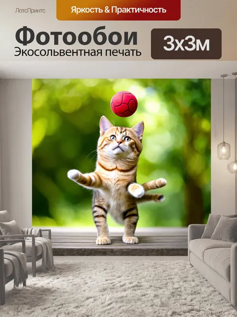 Фотообои кот, пытающийся поймать шарик, который летит над ним, с размытым фоном природы
