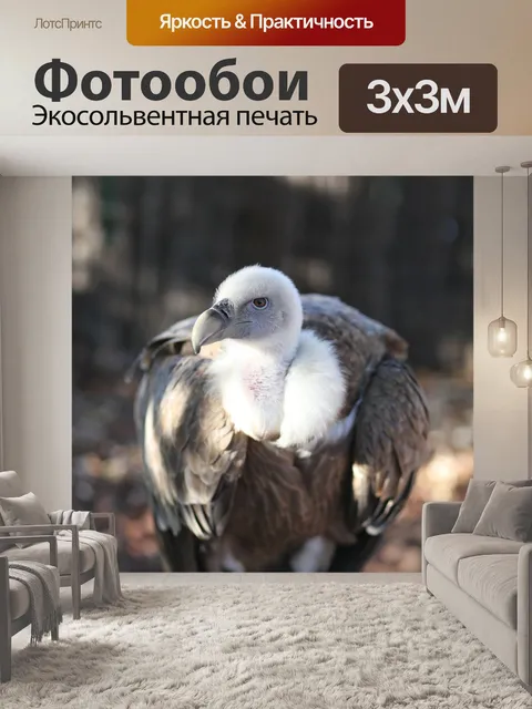 Фотообои Птица