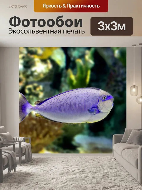 Фотообои Тропические рыбы