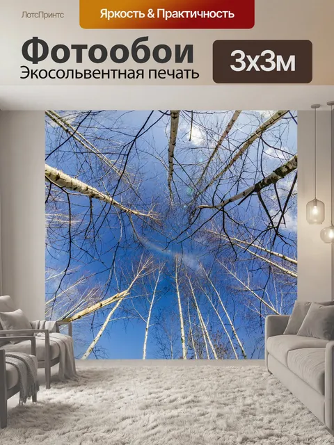 Фотообои Деревья