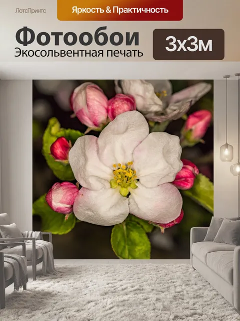 Фотообои Яблоневый цвет