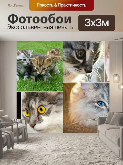 Фотообои Кошки