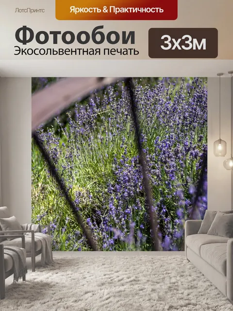 Фотообои Лавандовое поле