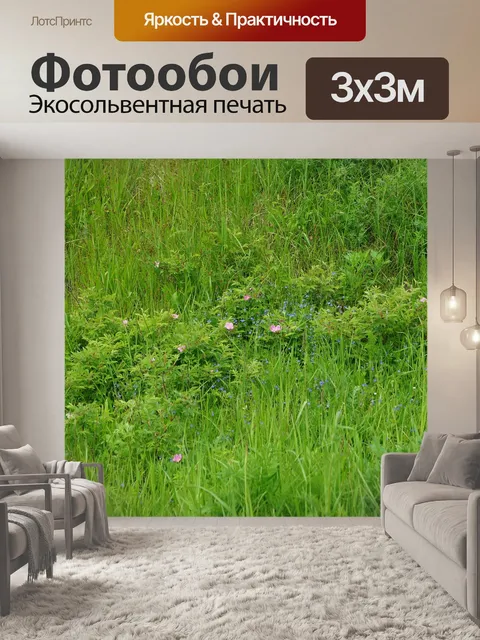 Фотообои Лес