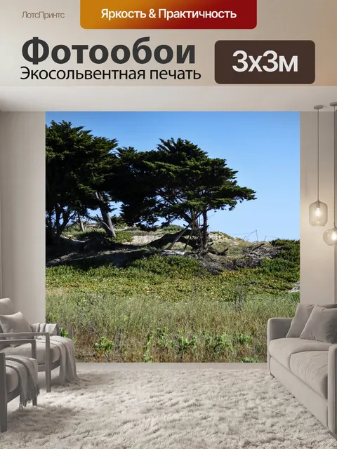 Фотообои Океан Сан Дюны