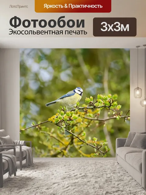 Фотообои Птица и дерево