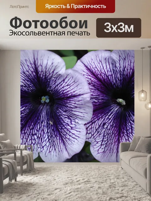Фотообои Петунии