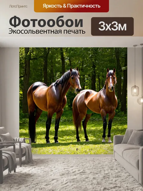 Фотообои лошади, стоящие на поляне, окружающейся шепчущими лесами, создавая атмосферу спокойствия
