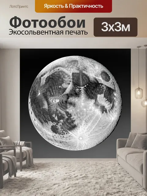 Фотообои Черно-белая луна с кратерами
