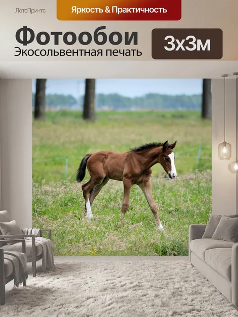 Фотообои Лошади и ферма пони