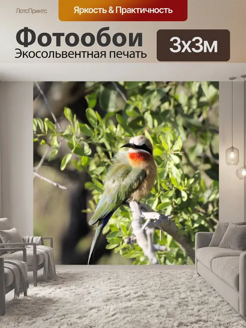 Фотообои Птица