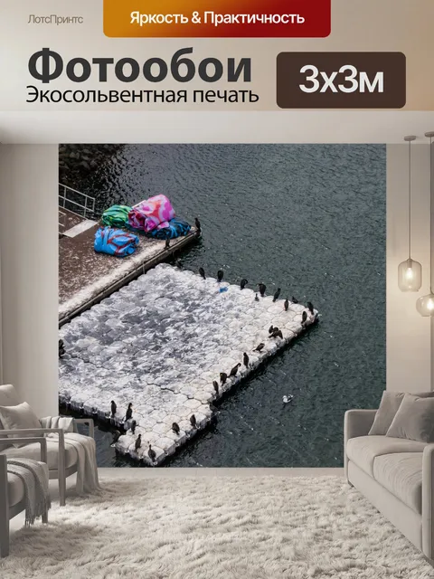Фотообои Птицы бакланов