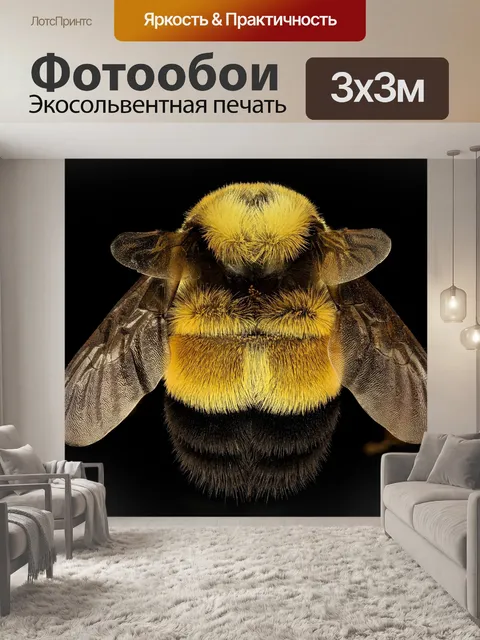 Фотообои Расти исправленными шмеля