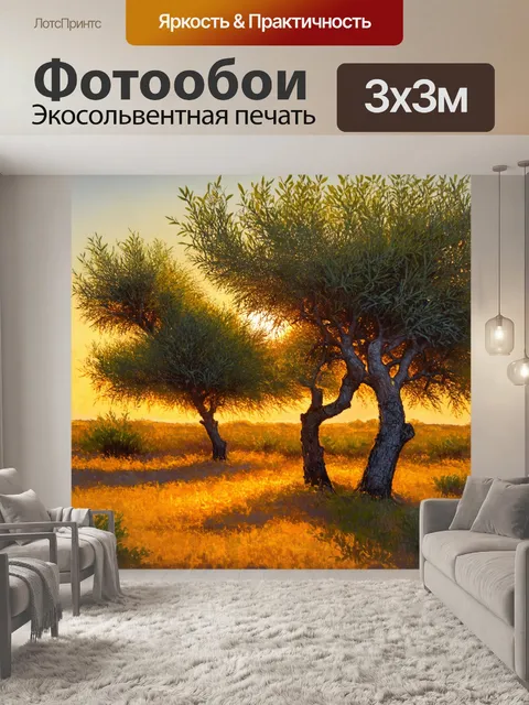 Фотообои теплый вечерний пейзаж с оливковыми деревьями