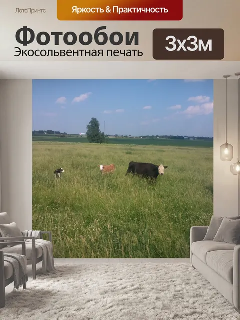 Фотообои Крупный рогатый скот на пастбище